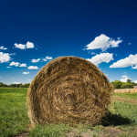 The Straw Bale